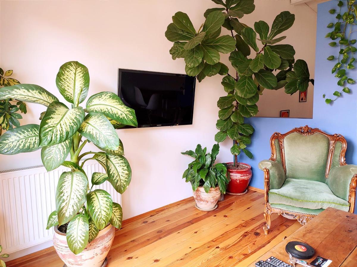 Apartment Kunterbunt *